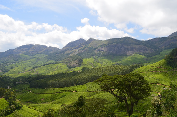Madurai - Munnar