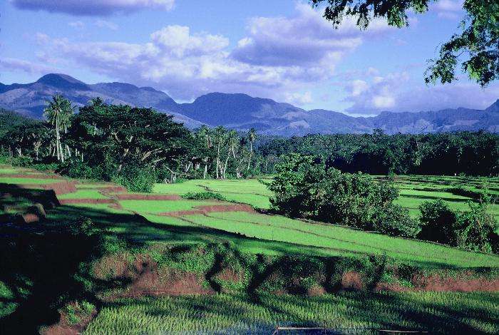 Grand Tour du Sri Lanka