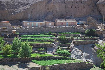 Calama - Iquique