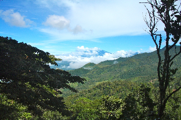 Panama City - Parc San Lorenzo 