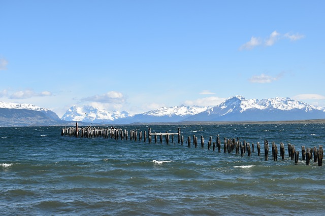 Perto Natales - Punta Arenas - Santiago