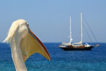 Découverte des cyclades entre Mykonos & Paros