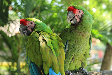 Cancun - France