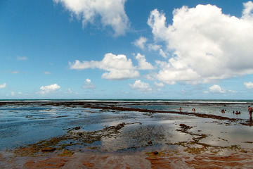 Salvador de Bahia