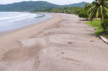 Rincon de la Vieja - Tambor