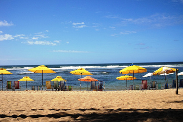 Praia do Forte - Salvador de Bahia