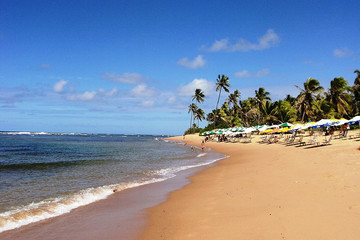 Praia do Forte - Salvador de Bahia