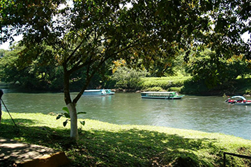 Tortuguero - Puerto Viejo de Sarapiqui