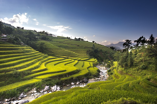 Marché de Bac Ha – Ha Giang