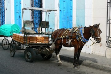 Gibara - Sancti Spiritus