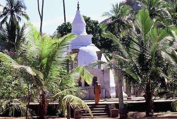 Colombo - Anuradhapura