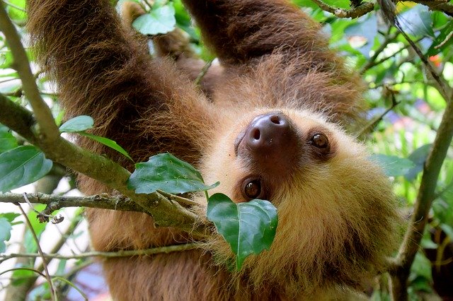 Parc national de Tortuguero