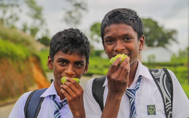 Du Sri Lanka aux Maldives