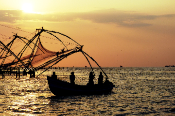 Alleppey - Cochin