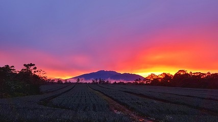 San Gerardo de Dota - Turrialba