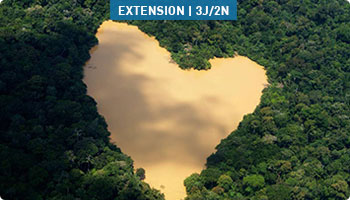 L'Amazonie au brésil