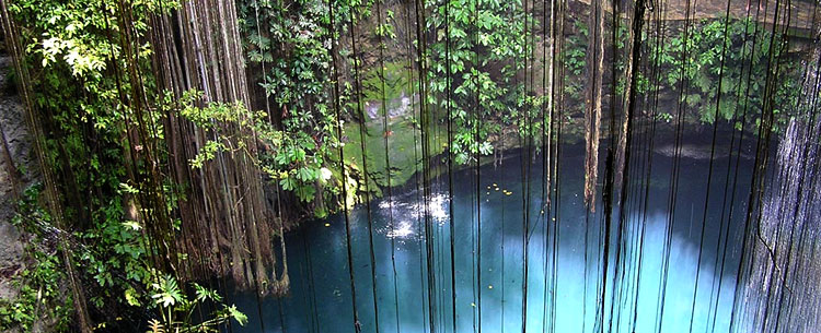 Cenote dans le Yucatan au Mexique